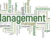 ¿Qué es el Management?